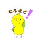 かわいいインコの日常スタンプ（個別スタンプ：24）