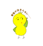 かわいいインコの日常スタンプ（個別スタンプ：31）