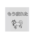 カツをのLINEスタンプ（個別スタンプ：8）