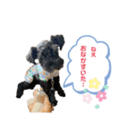のあとるうく 1（個別スタンプ：20）