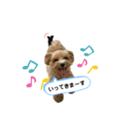のあとるうく 1（個別スタンプ：23）