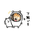 柴犬はなさく2（個別スタンプ：7）