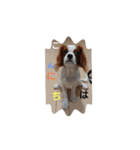 キャバリア犬03（個別スタンプ：26）