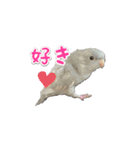 サザナミインコのもずく（個別スタンプ：13）
