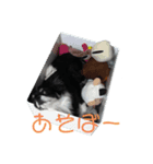 あられです（個別スタンプ：8）
