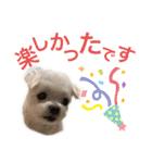 ミルクちゃんの日常とメッセージ（いぬ）（個別スタンプ：14）