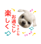 ミルクちゃんの日常とメッセージ（いぬ）（個別スタンプ：18）
