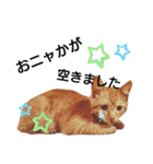t.a.m.a.すたんぷ（個別スタンプ：4）