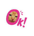 t.a.m.a.すたんぷ（個別スタンプ：5）