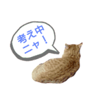 t.a.m.a.すたんぷ（個別スタンプ：9）