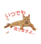 t.a.m.a.すたんぷ（個別スタンプ：11）