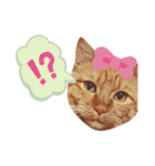 t.a.m.a.すたんぷ（個別スタンプ：15）