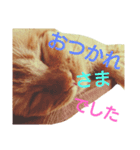 t.a.m.a.すたんぷ（個別スタンプ：16）