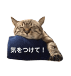 ほのぼのひよちゃん3（個別スタンプ：2）
