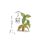 【手書き文字】丁寧なことばスタンプ（個別スタンプ：2）