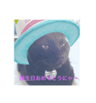クロネコジジチャン（個別スタンプ：2）