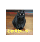 クロネコジジチャン（個別スタンプ：6）