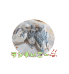 まきどんの可愛いインコ2（個別スタンプ：11）