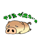 ぺきち豚（個別スタンプ：6）