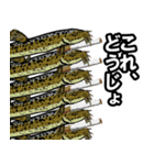 ヤニフィッシュ（個別スタンプ：8）