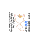 お灸の良さを知ってほしいねこ（個別スタンプ：5）