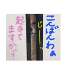 カイのスタンプ2（個別スタンプ：4）