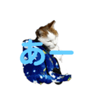 猫 てぃんく2（個別スタンプ：31）