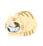猫 てぃんく2（個別スタンプ：32）