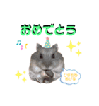 もふもふハムスター一家（個別スタンプ：5）