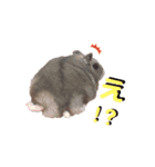 もふもふハムスター一家（個別スタンプ：7）