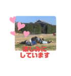 光の子クラブ①（個別スタンプ：4）