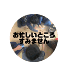 光の子クラブ①（個別スタンプ：5）