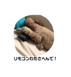 クッキースタンプ  1（個別スタンプ：2）