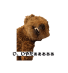 クッキースタンプ  1（個別スタンプ：7）
