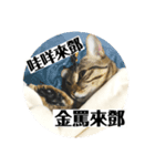 蕨餅貓貓的日常（番外篇）（個別スタンプ：7）