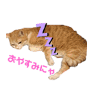 べっぴん猫るる（個別スタンプ：4）
