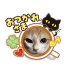 べっぴん猫るる（個別スタンプ：10）