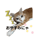 べっぴん猫るる（個別スタンプ：12）