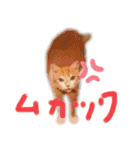 べっぴん猫るる（個別スタンプ：20）