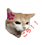 べっぴん猫るる（個別スタンプ：22）