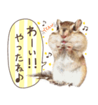 ❰❰シマリス★Rin❱❱ part 2（個別スタンプ：1）