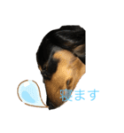 犬 メメちゃんとポポちゃんです（個別スタンプ：2）