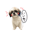 kenkenzo（個別スタンプ：5）