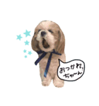 kenkenzo（個別スタンプ：6）