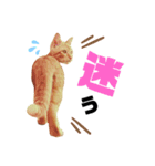 t.a.m.a.すたんぷ2（個別スタンプ：13）