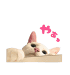 ネコォスタンプ第一弾（個別スタンプ：6）