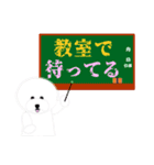 大学生、高校生へ。自習室、学食他の連絡に（個別スタンプ：11）