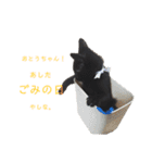 ぷーたろう 〜子猫は一瞬で大きくなる〜（個別スタンプ：6）