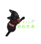 ぷーたろう 〜子猫は一瞬で大きくなる〜（個別スタンプ：9）