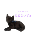 ぷーたろう 〜子猫は一瞬で大きくなる〜（個別スタンプ：18）